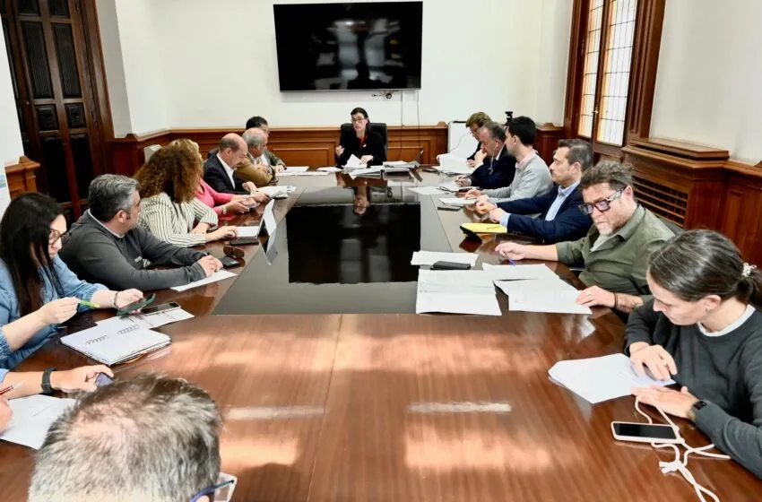  El IMD aprueba 9 convenios de colaboración con federaciones, clubes y asociaciones deportivas por importe de 200.000 euros