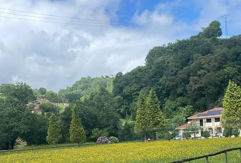 El PP de Herrerías denuncia el «lamentable» estado del campo de fútbol municipal