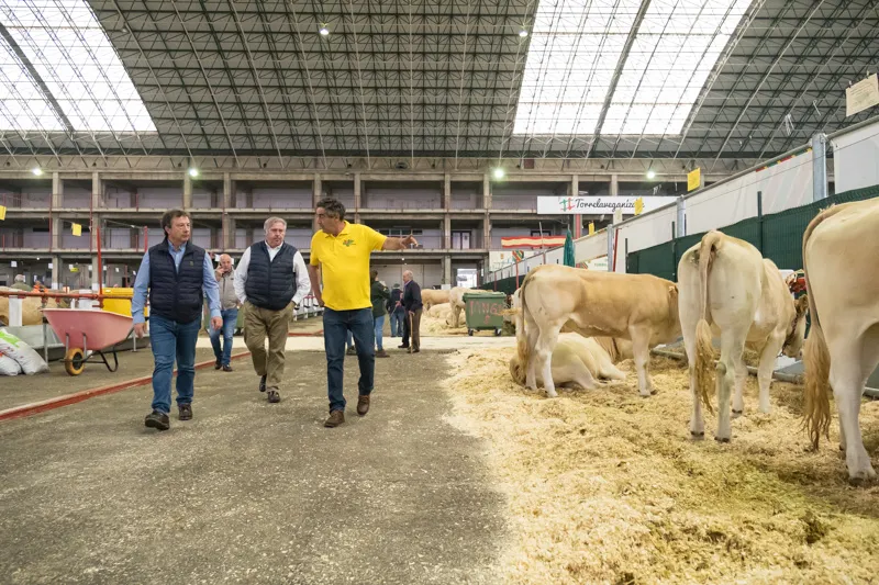 Noticias de Cantabria | El Cántabro | Palencia asiste en Torrelavega a la Feria Agroganadera de Razas Cárnicas