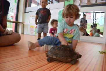  ‘Niki’ y ‘Uga’ visitan ‘Garruchines’ la guardería municipal del Ayuntamiento de Piélagos en Boo