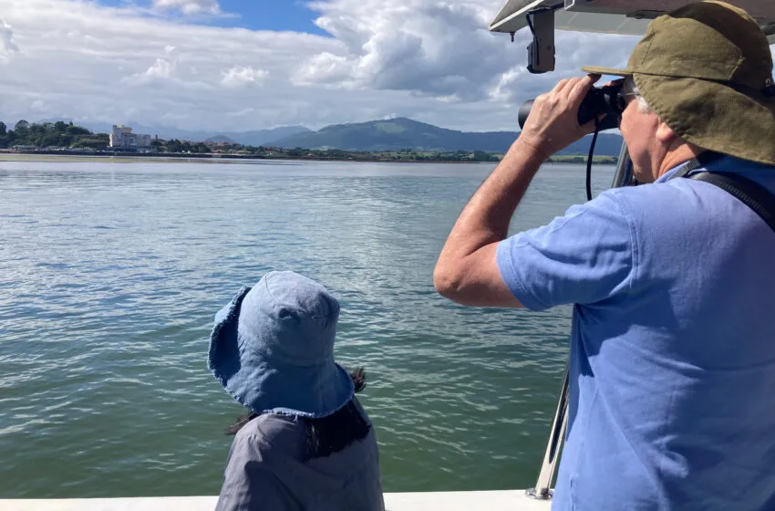 Noticias de Cantabria | El Cántabro | El proyecto de divulgación ambiental con salidas en barco por la Bahía de Santander registra un 100% de ocupación