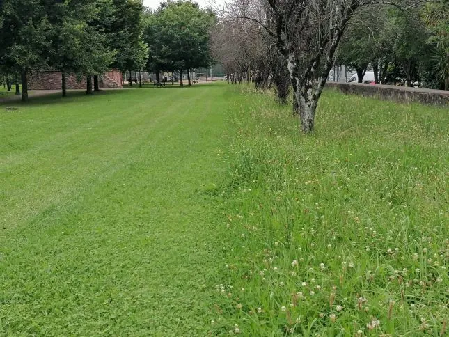 Noticias de Cantabria | El Cántabro | Torrelavega pone en marcha un programa de siegas diferenciadas