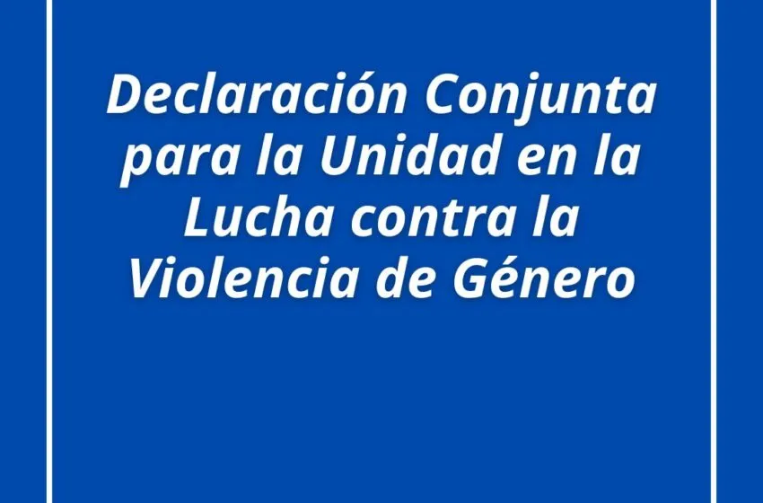  Declaración Conjunta para la Unidad en la Lucha contra la Violencia de Género