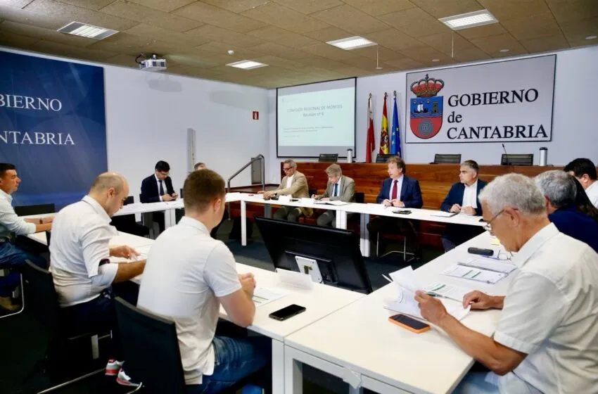  La Comisión Regional de Montes aprueba 30 planes particulares de mejora en montes de utilidad pública por valor de 620.000 euros