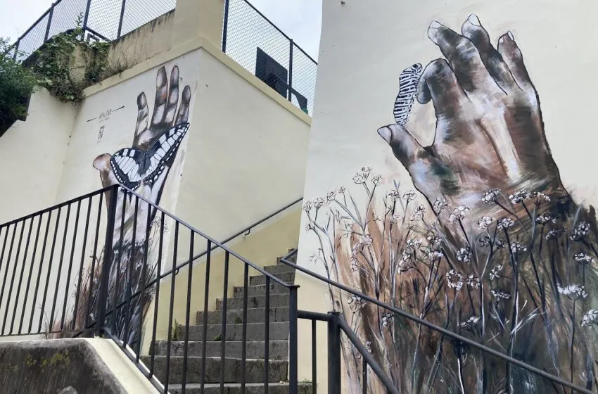 Noticias de Cantabria | El Cántabro | Nueve colegios lucen ya sus nuevos murales sobre las especies que habitan Santander