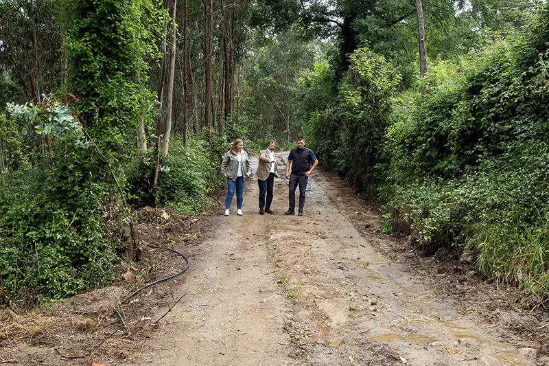 Noticias de Cantabria | El Cántabro | Desarrollo Rural inspecciona las obras de la pista que une La Bárcena y Santisteban en Ampuero
