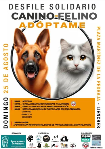  El Ayuntamiento de Piélagos celebrará este domingo en Liencres el desfile solidario canino y felino ‘adóptame’