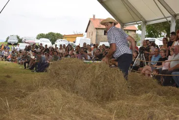  El deporte, protagonista un año más de la Fiesta de la Virgen de Valencia