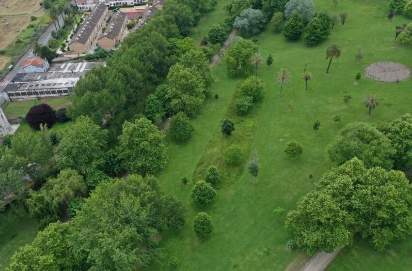 Noticias de Cantabria | El Cántabro | El autillo europeo, el búho que veranea en los parques de Santander