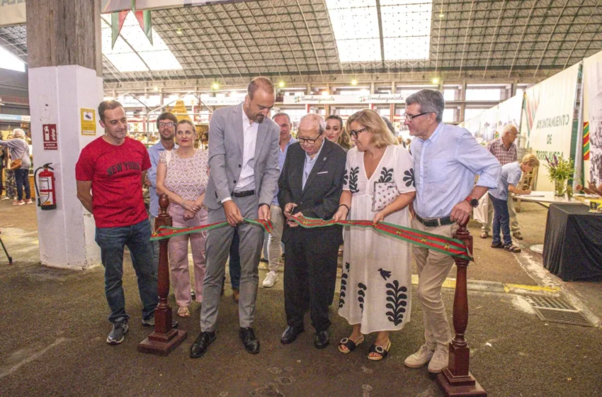 Noticias de Cantabria | El Cántabro | Inaugurada la 25ª edición de ‘Desembalaje Cantabria’ en Torrelavega