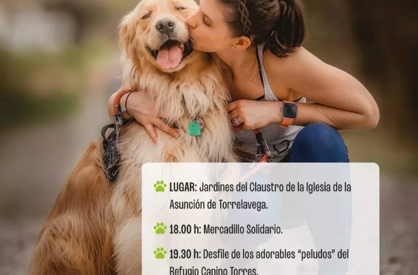Noticias de Cantabria | El Cántabro | Torrelavega celebra la VIII Jornada de Adopción y Tenencia Responsable