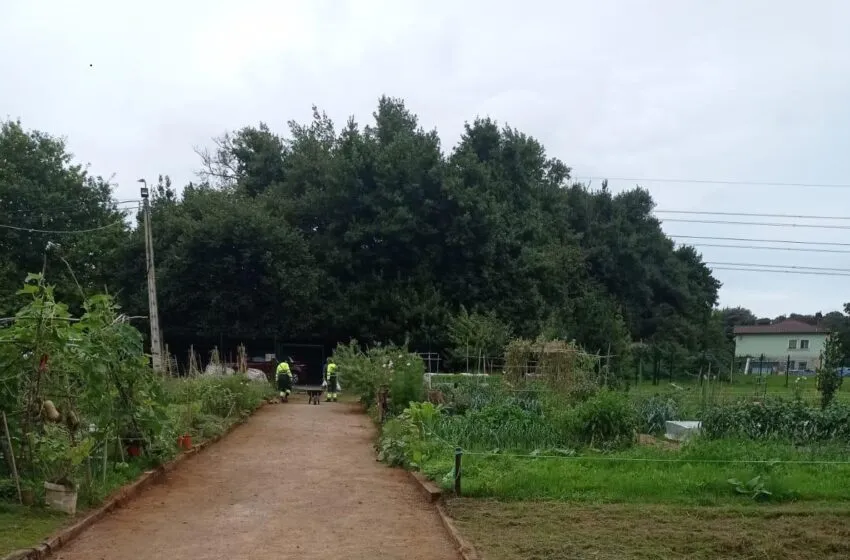  El Ayuntamiento acomete labores de mantenimiento en 6.000 metros cuadrados de huertos ecológicos municipales