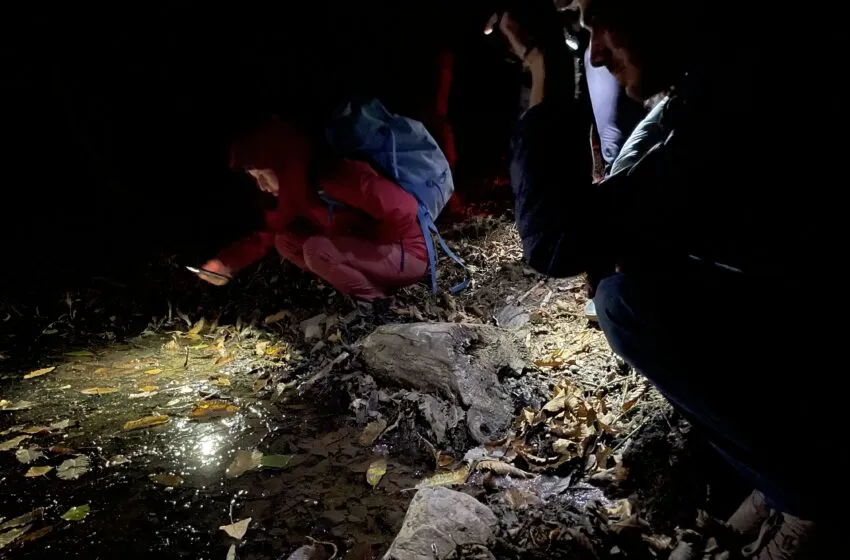  Expertos europeos identifican en Liébana un alto potencial turístico vinculado al astroturismo, la salud mental, el turismo de naturaleza y la desintoxicación digital.