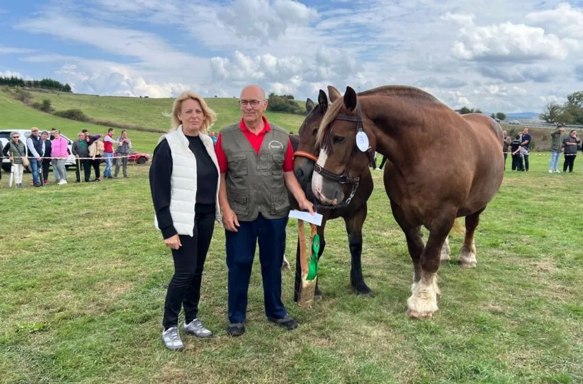 Noticias de Cantabria | El Cántabro | La Enfermedad Hemorrágica Epizoótica afecta en lo que va de septiembre a 1.212 animales en Cantabria y eleva la cifra de fallecidos a 147