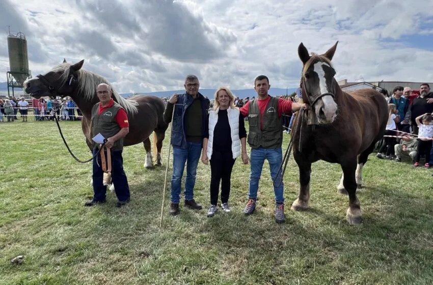 Noticias de Cantabria | El Cántabro | La consejera de Desarrollo Rural asiste en Reinosa a la feria de ganado con motivo del Día de San Mateo