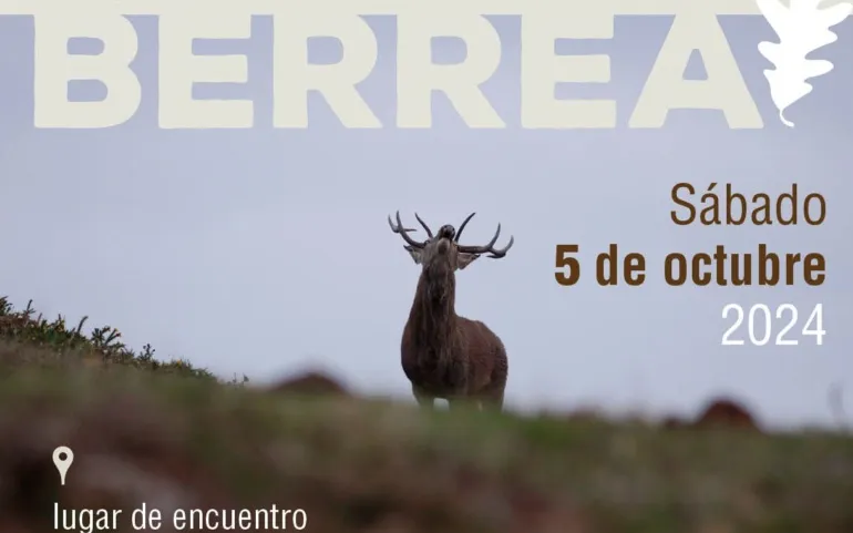 Noticias de Cantabria | El Cántabro | Ruta guiada para contemplar la berrea