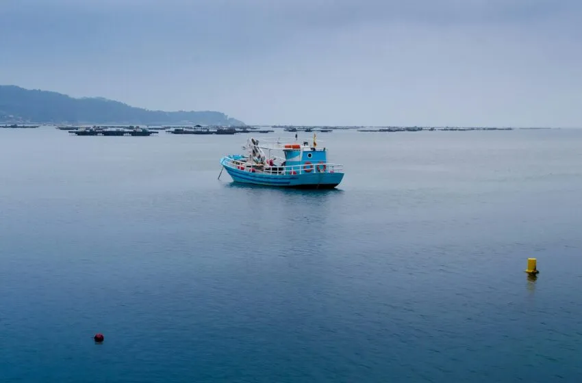 Noticias de Cantabria | El Cántabro | El Gobierno convoca ayudas para fomentar los planes de producción y comercialización de las organizaciones de productores pesqueros