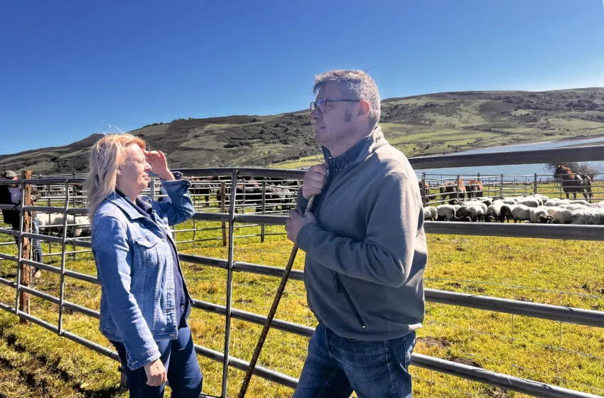 Noticias de Cantabria | El Cántabro | La Consejería de Ganadería confirma 850 casos de Enfermedad Hemorrágica Epizoótica y 119 animales fallecidos en lo que va de septiembre