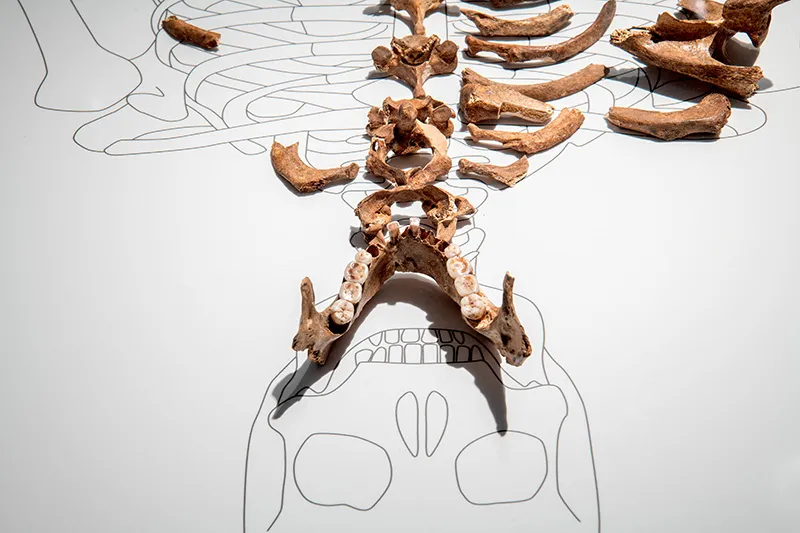 Noticias de Cantabria | El Cántabro | Cultura organiza una exposición temporal sobre la Dama Roja de la cueva del Mirón en el MUPAC