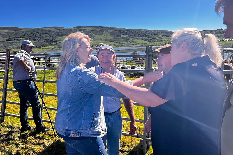 Noticias de Cantabria | El Cántabro | El Gobierno financiará el coste íntegro de la vacuna contra la EHE y ayudará a los ganaderos en los gastos de prevención y desinsectación