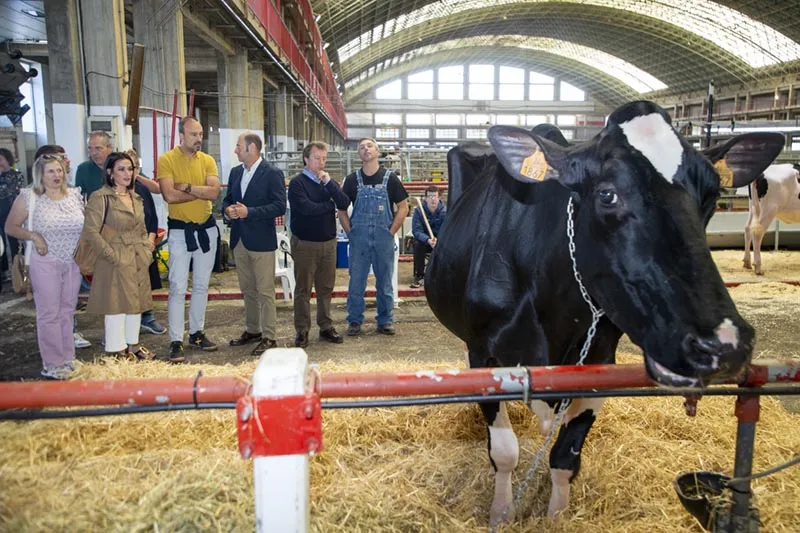 Noticias de Cantabria | El Cántabro | Palencia destaca la "excelente calidad" de los animales que han participado en el XXVIII Memorial José Ruiz Ruiz de Torrelavega