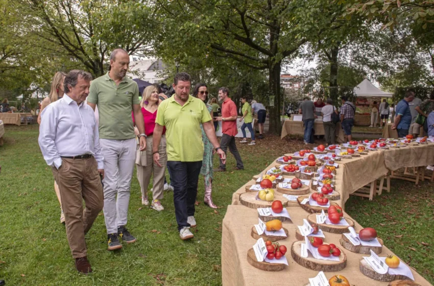 Noticias de Cantabria | El Cántabro | López Estrada destaca que eventos como el Festival del Tomate de Cantabria “nos dan un posicionamiento turístico y en el sector servicios”