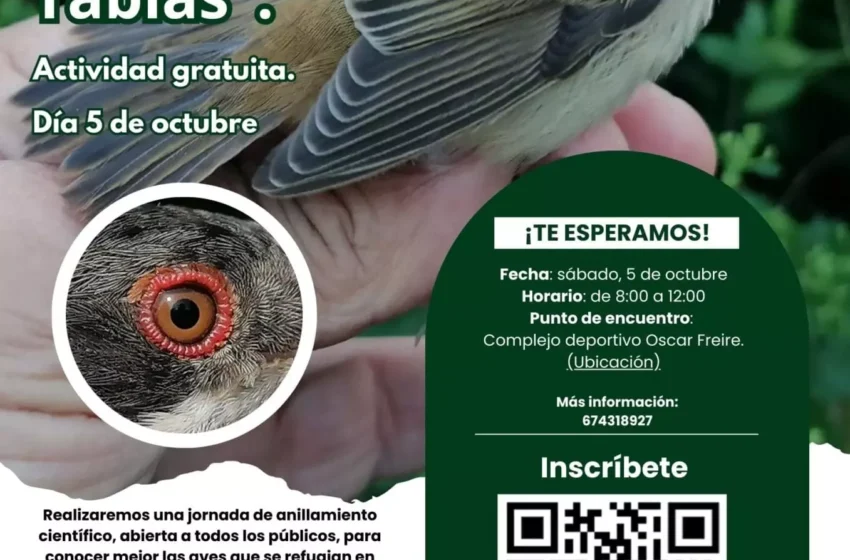 Noticias de Cantabria | El Cántabro | 'Conexión natural' programa para octubre un nuevo ciclo de salidas a los espacios naturales de Torrelavega