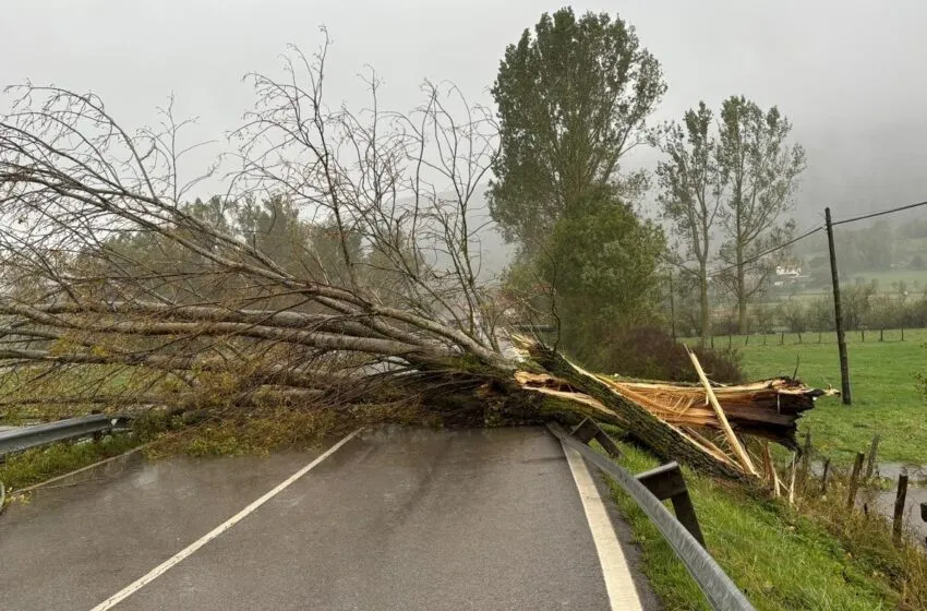  El 112 gestiona 347 incidencias relacionadas con el fuerte viento desde el inicio del episodio