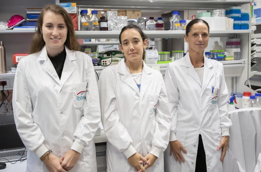 Noticias de Cantabria | El Cántabro | Dos investigadores predoctorales de la UC estudiarán el cáncer de mama gracias a las ayudas de la AECC