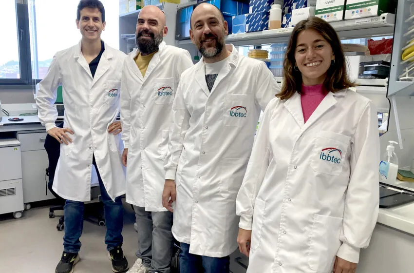 Noticias de Cantabria | El Cántabro | Investigadores del IBBTEC descubren un nuevo mecanismo, que influye en la correcta expresión génica durante el desarrollo embrionario