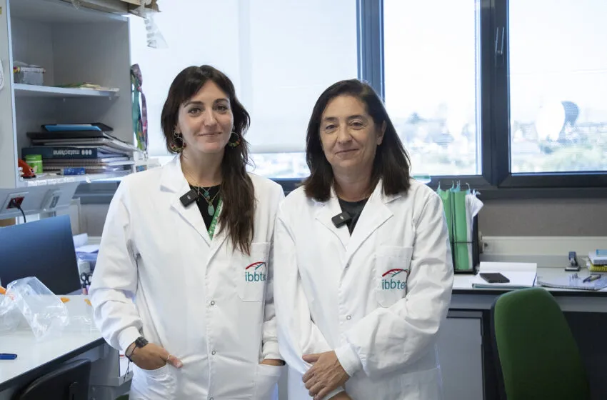 Noticias de Cantabria | El Cántabro | Investigadoras del IBBTEC diseñan un método que permitirá la modificación genética de bacterias de difícil manipulación