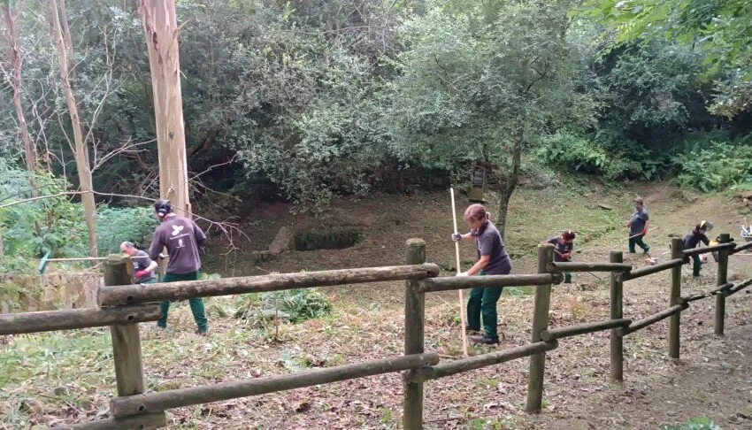  CONTINÚAN LOS TRABAJOS A CARGO DE LOS ALUMNOS DEL TALLER DE EMPLEO “COLINDRES VERDE 2024”