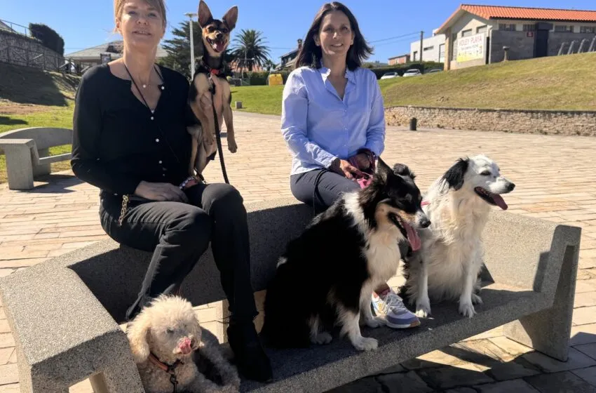 San Juan de la Canal acogerá el primer Dog Fest, un festival donde los perros serán los protagonistas