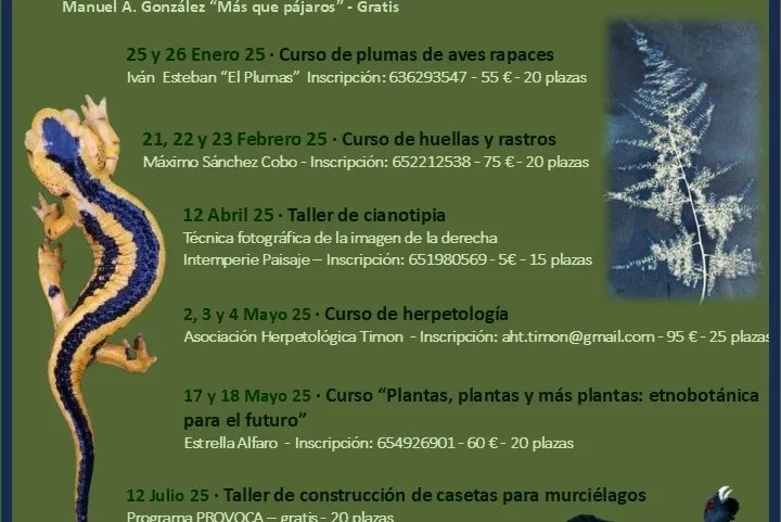 Noticias de Cantabria | El Cántabro | La Concejalía de Medio Ambiente presenta su Programa de Naturaleza para los próximos meses