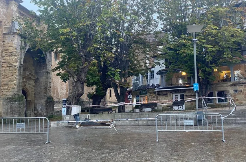 Noticias de Cantabria | El Cántabro | Comillas procederá a la sustitución de los cinco castaños ubicados en el Corro Campíos