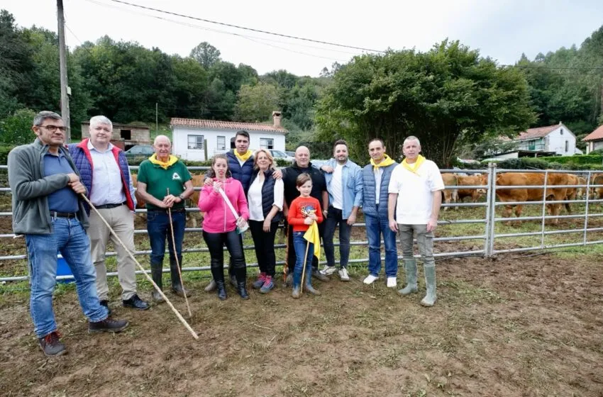 Noticias de Cantabria | El Cántabro | Susinos y Agüeros asisten a la tradicional Feria de San Lucas que reúne en Hoznayo a 70 ganaderías y a numerosos vecinos y turistas