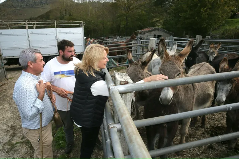 Noticias de Cantabria | El Cántabro | La consejera de Ganadería destaca la importancia del ganado caballar para la economía rural de Cantabria