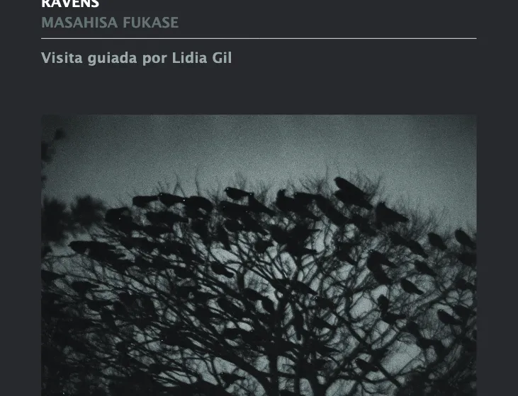 Noticias de Cantabria | El Cántabro | Lidia Gil ofrece una visita guiada a la exposición del fotógrafo japonés Fukase en el CDIS