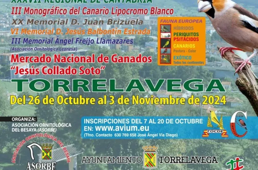 Noticias de Cantabria | El Cántabro | Más de 2.200 aves menores participarán en el XXIII Concurso Ornitológico ‘Ciudad del Besaya’