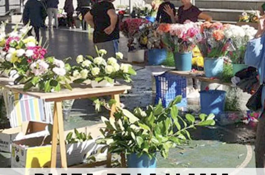  Mercado de las Flores en la Plaza de La Llama