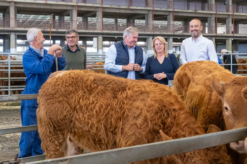 Noticias de Cantabria | El Cántabro | Más de 600 explotaciones ganaderas ya han adquirido la vacuna contra la Enfermedad Hemorrágica Epizoótica en Cantabria