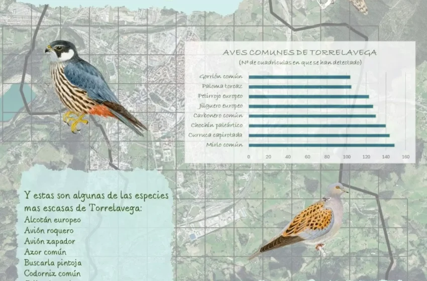 Noticias de Cantabria | El Cántabro | Primeros datos del Atlas de las aves de Torrelavega