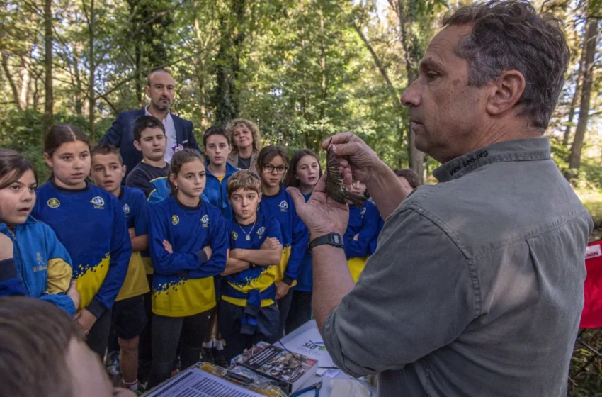  Los escolares participan en las actividades de anillamiento de Conexión Natural con motivo del Día de las Aves