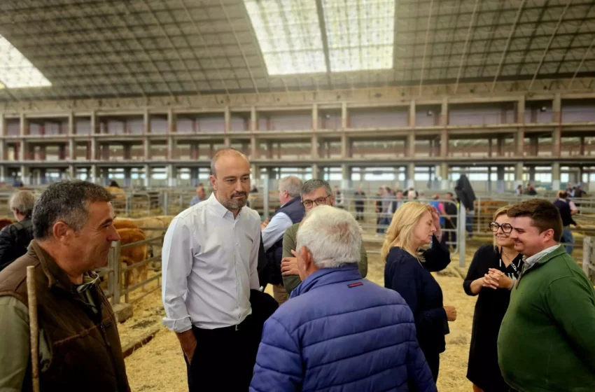 Noticias de Cantabria | El Cántabro | López Estrada se reunirá “próximamente” con la nueva consejera de Desarrollo Local para abordar temas “importantes” para Torrelavega