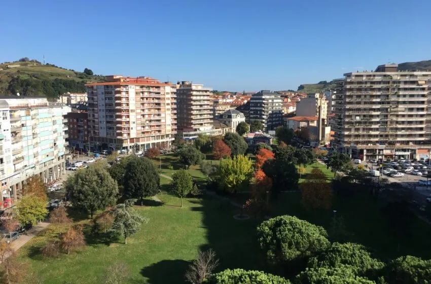  Laredo pone en marcha la primera olimpiada escolar de identificación de árboles en sus alamedas