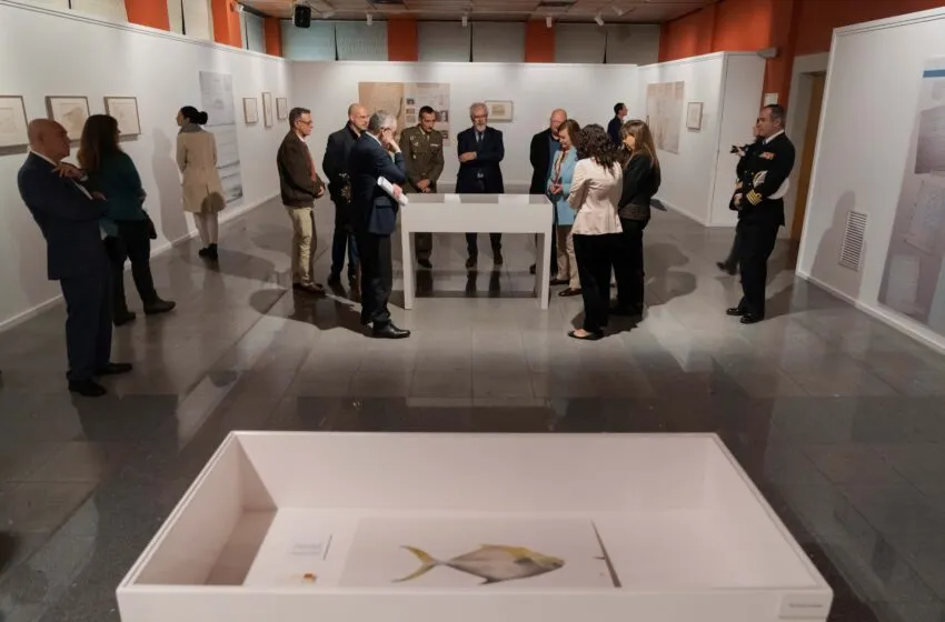  El Paraninfo acoge por primera vez en España la obra del naturalista Tadeo Haenke, del siglo XVIII