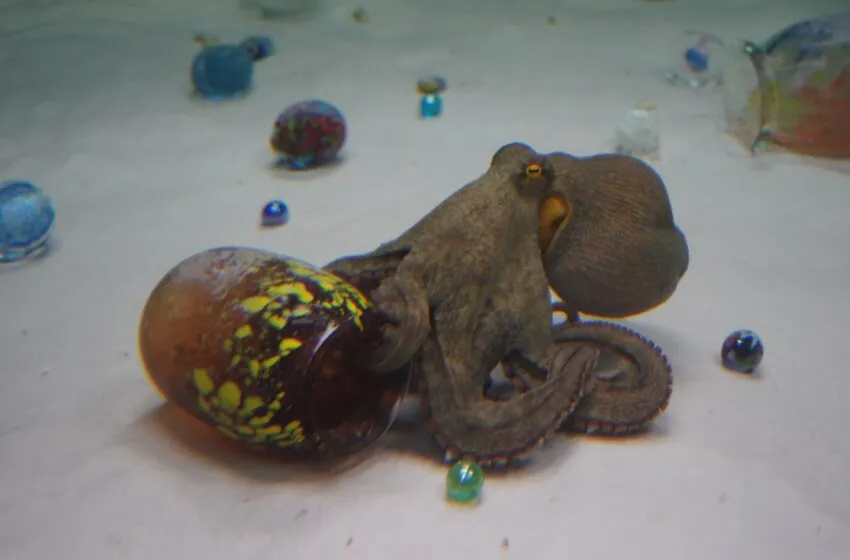  EL CENTRO BOTÍN TE INVITA A CONECTAR CON TUS EMOCIONES Y POTENCIAR TU CREATIVIDAD EN FAMILIA