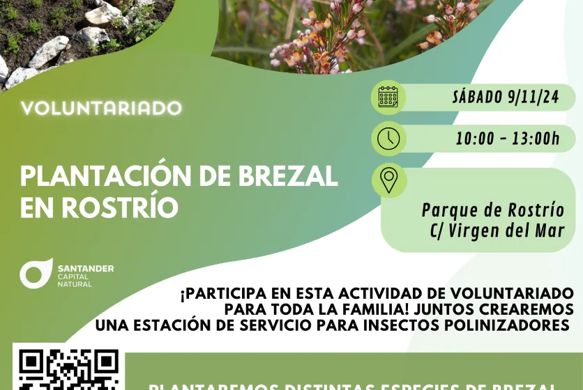 Noticias de Cantabria | El Cántabro | Santander Capital Natural propone un voluntariado para la plantación de brezo en Rostrío