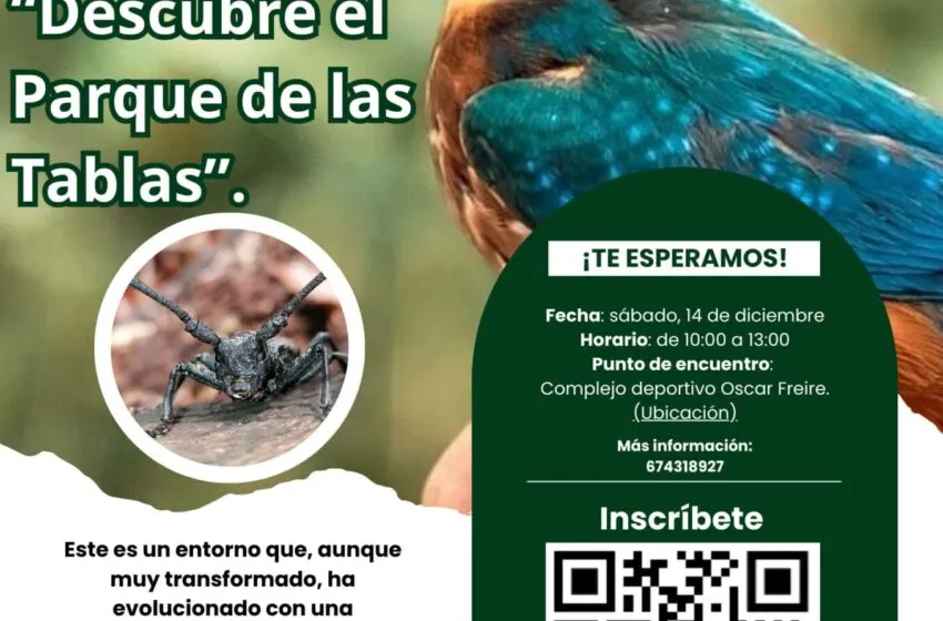 Noticias de Cantabria | El Cántabro | El 14 de diciembre nuevo paseo guiado al Parque de Las Tablas dentro de 'Torrelavega Conexión Natural'