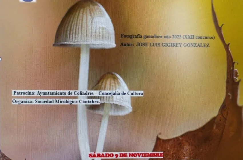  Colindres celebra la XXXII edición de las Jornadas Micológicas.